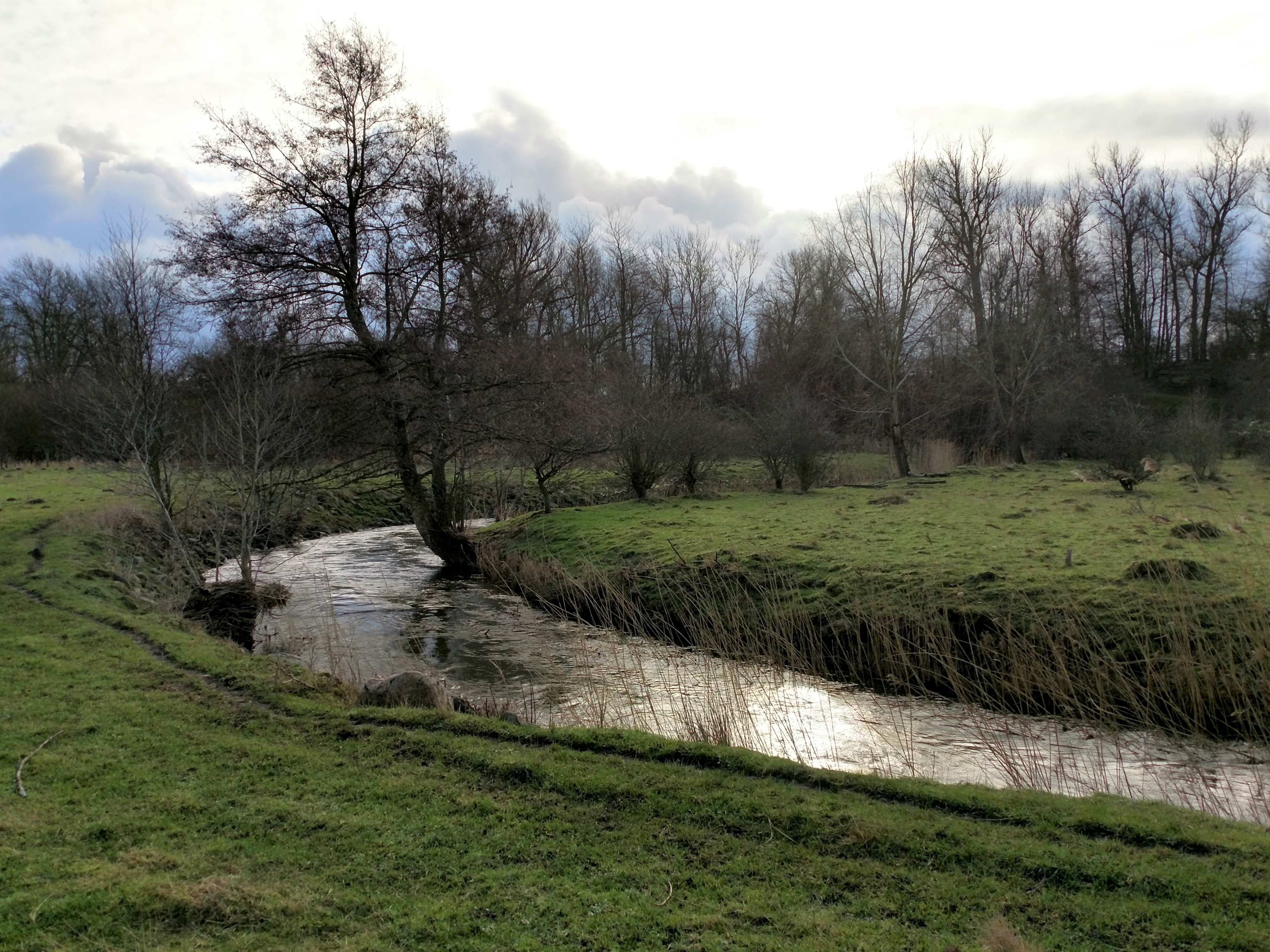 20200125 Skivarpsån krök