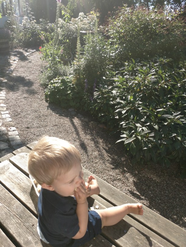 IMG_20180702_084428569