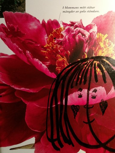 IMG_20191215 till blogg_161325895 (15)