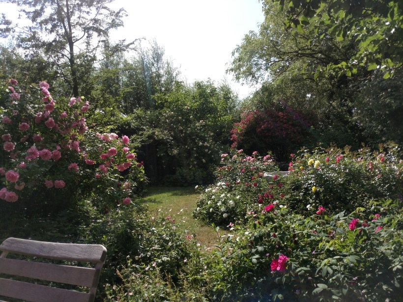 IMG_20180615_163940144