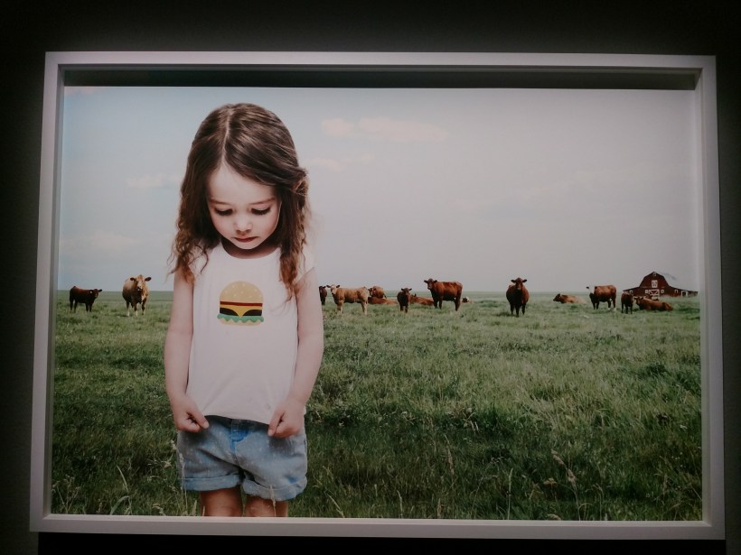 IMG_20191024_135810904_BURST001