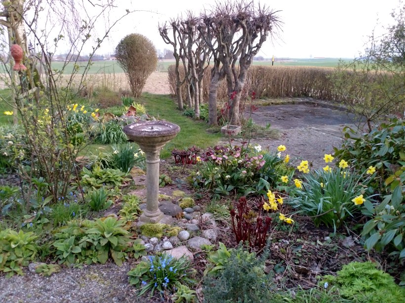 20200406 Innergård aprilkväll