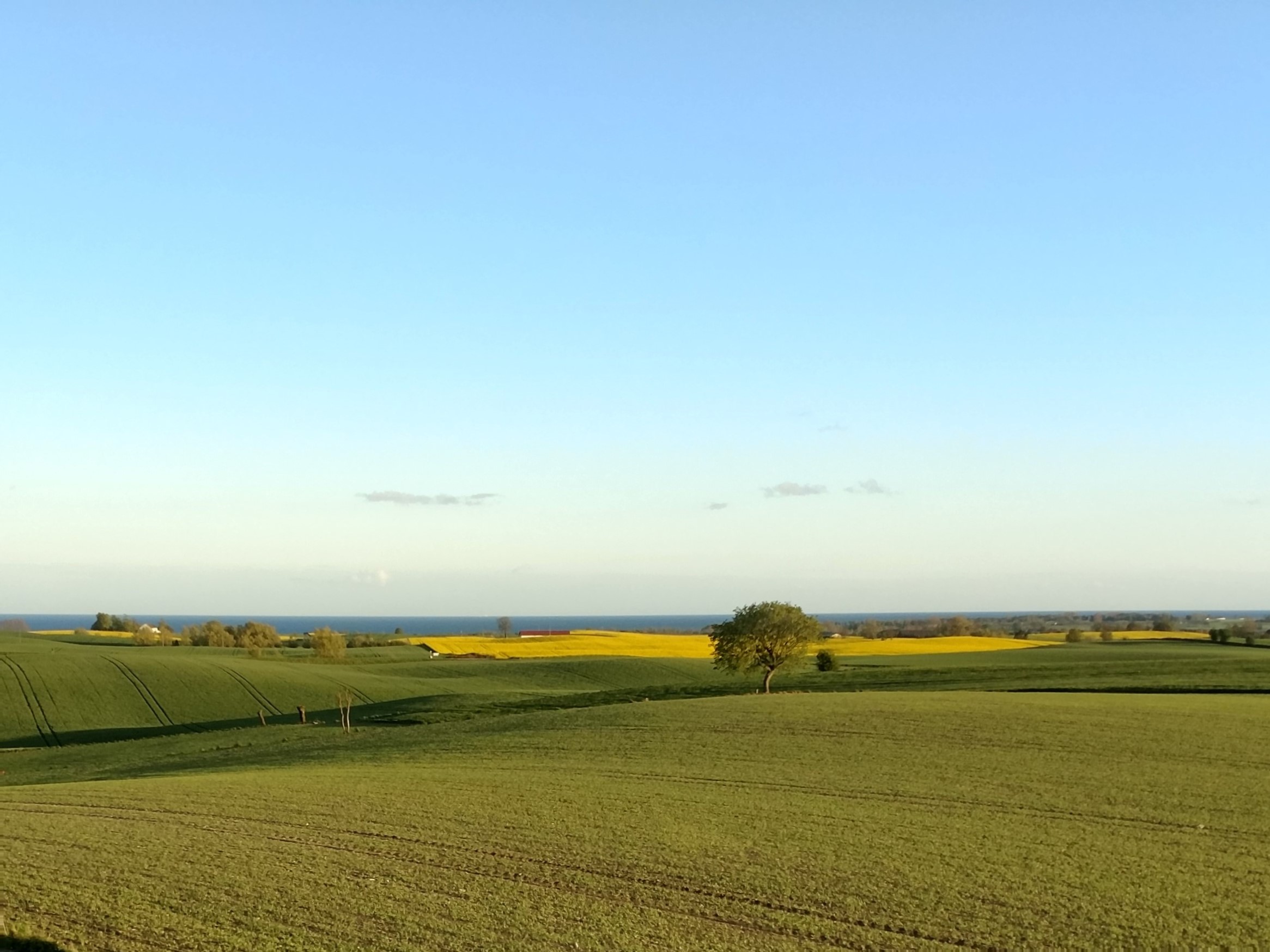 20190506 vårvy liggande