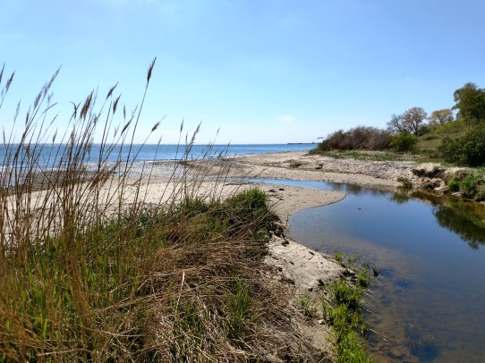 20190511_Skivarpsån mynning