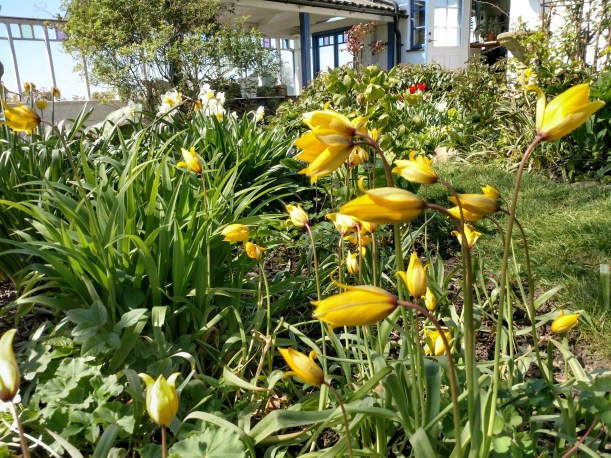 IMG_20200426_125450907_HDR